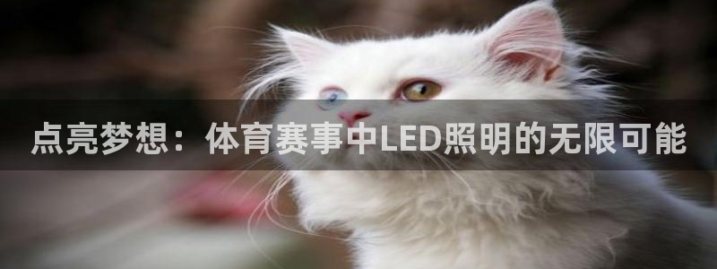胜天集团有限公司