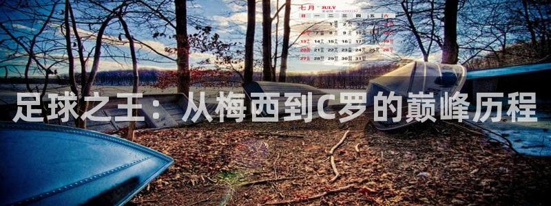 胜天国际app下载安装官网