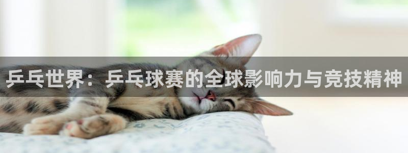 胜天国际免费下载app