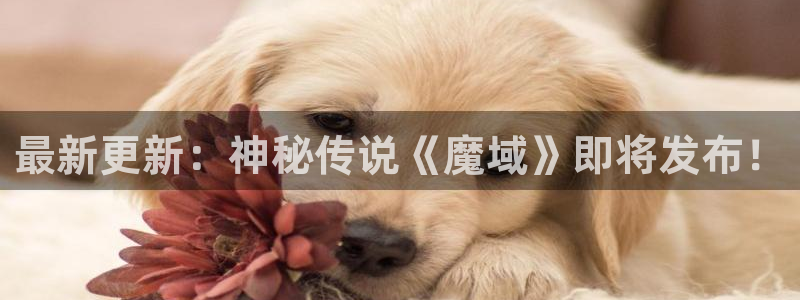 胜天国际app官网入口下载