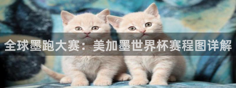 胜天国际h5最新版本