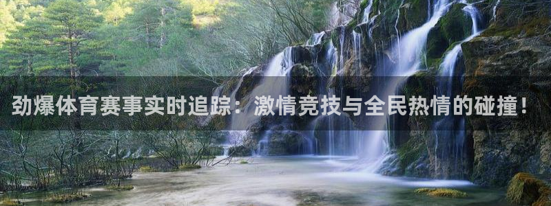 胜天国际app下载安装