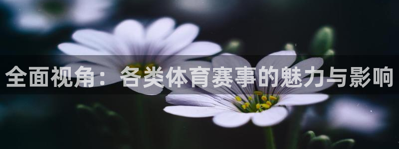 胜天国际官网登录入口在哪