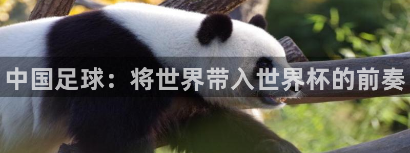 胜天国际ios下载安装