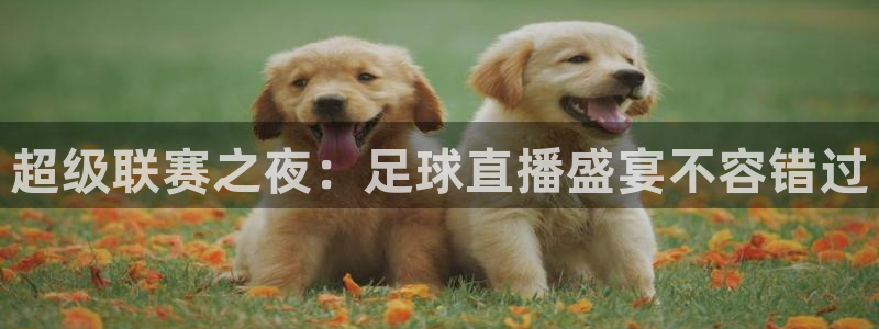 胜天集团