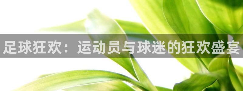 胜天国际app下载入口在哪