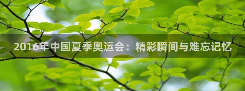 胜天国际新官网
