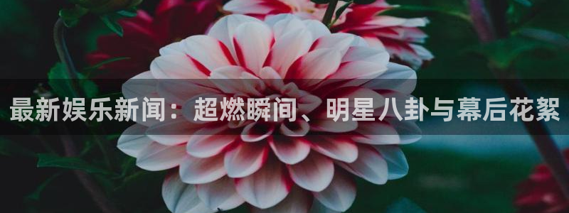 胜天国际下载链接app