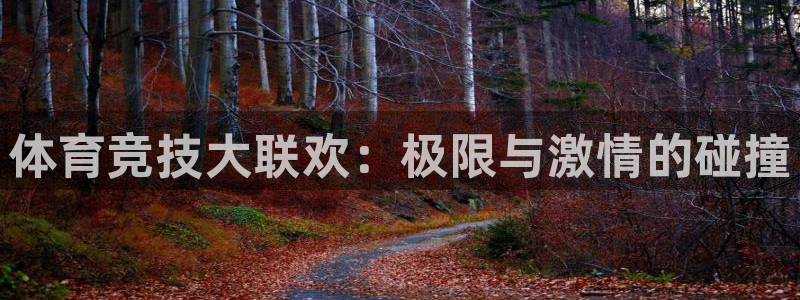 胜天国际客户端