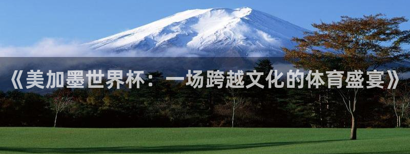 胜天国际app下载