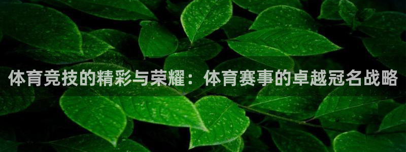 胜天集团是干什么的