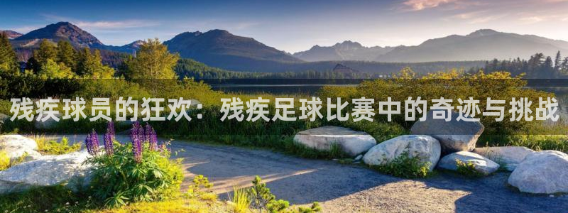 胜天国际app官网入口下载