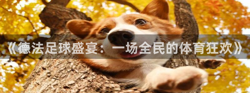 胜天国际地址