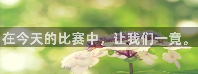 胜天国际客户端