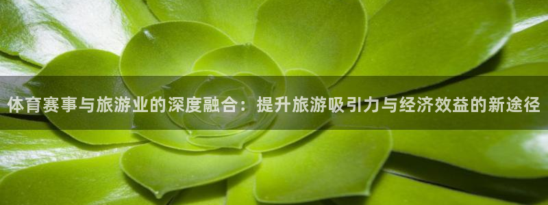 胜天国际网页版登录入口